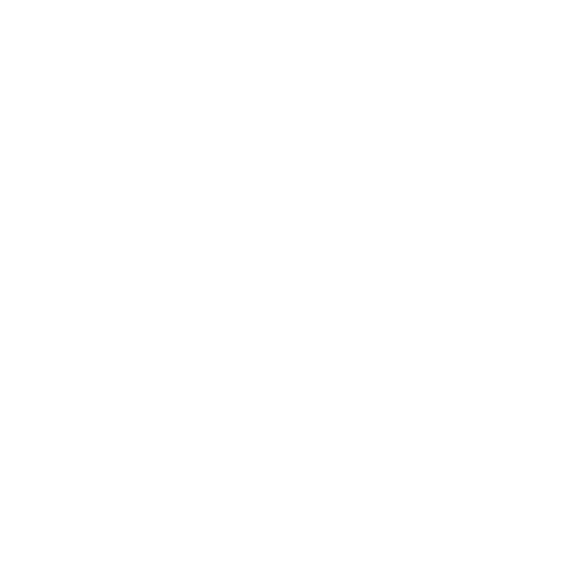 Echo icon