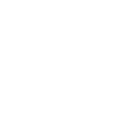 Paradox icon
