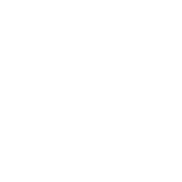 Sokolov Concern icon