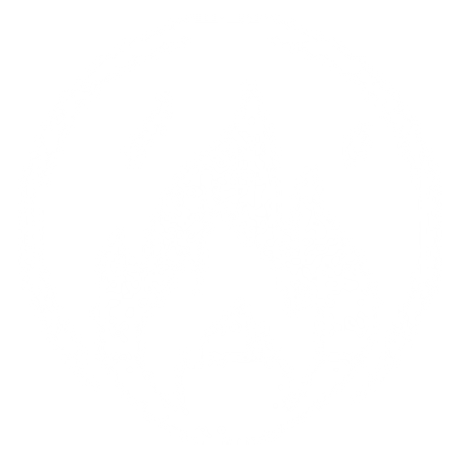 Fire with Fire
