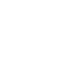 SMG icon